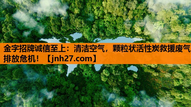 金字招牌诚信至上：清洁空气，颗粒状活性炭救援废气排放危机！