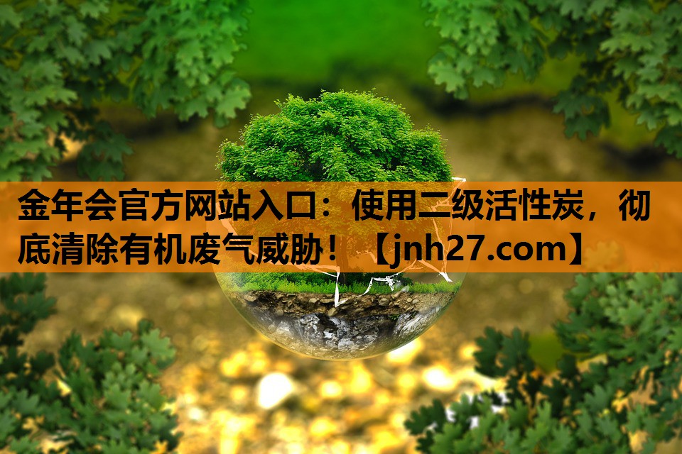 <strong>金年会官方网站入口：使用二级活性炭，彻底清除有机废气威胁！</strong>