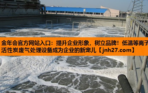 金年会官方网站入口：提升企业形象，树立品牌！低温等离子活性炭废气处理设备成为企业的新宠儿