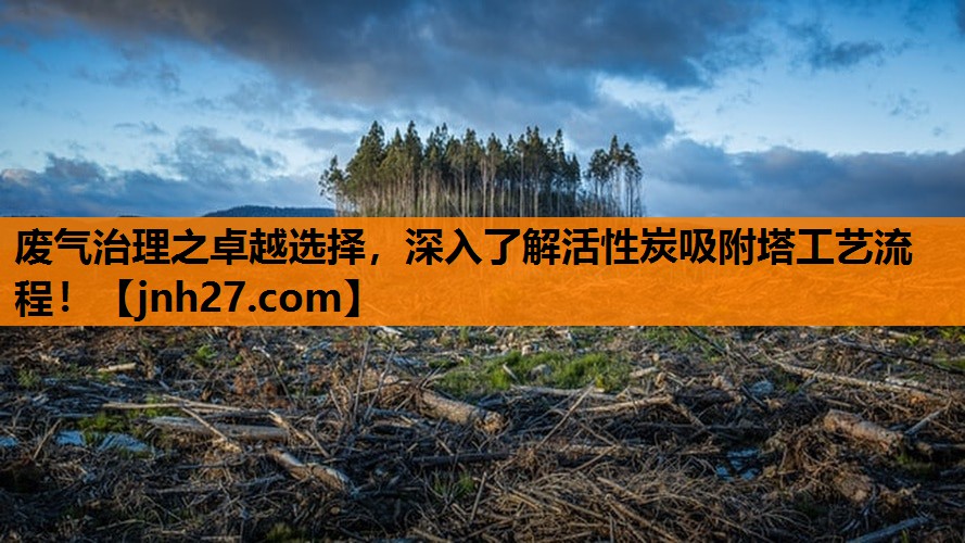 废气治理之卓越选择，深入了解活性炭吸附塔工艺流程！
