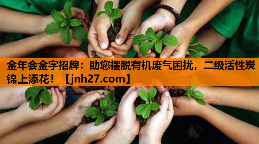 金年会金字招牌：助您摆脱有机废气困扰，二级活性炭锦上添花！