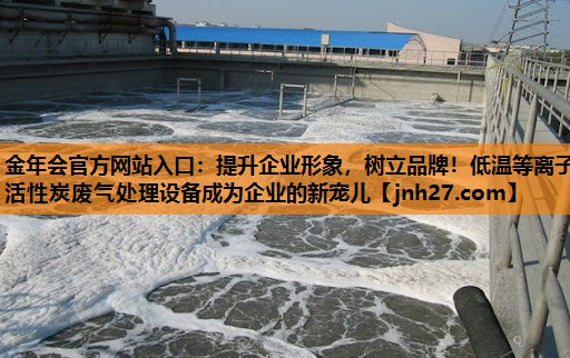 提升企业形象，树立品牌！低温等离子活性炭废气处理设备成为企业的新宠儿