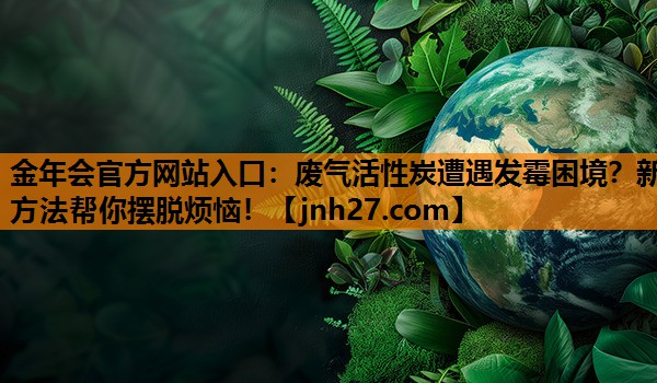 废气活性炭遭遇发霉困境？新方法帮你摆脱烦恼！